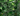 Signature AI - 